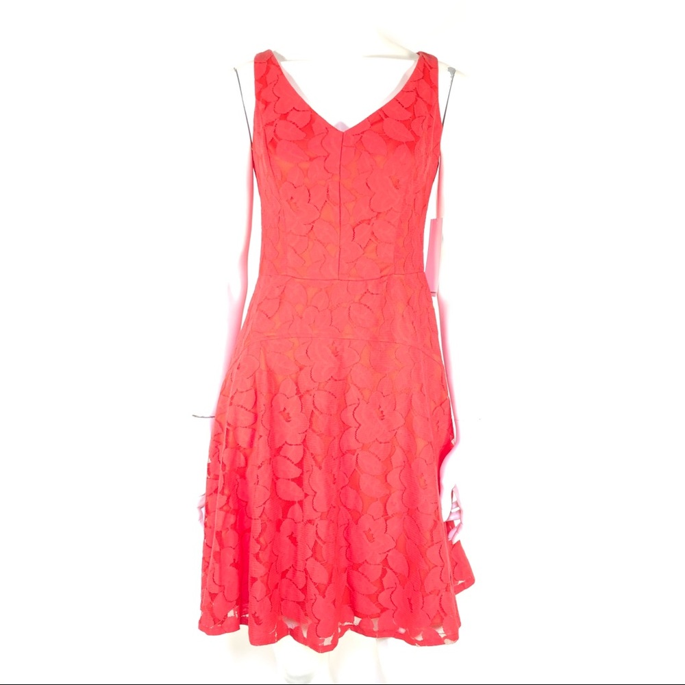 Maggy London Coral Lace Fit & Flare Cocktail Dress
